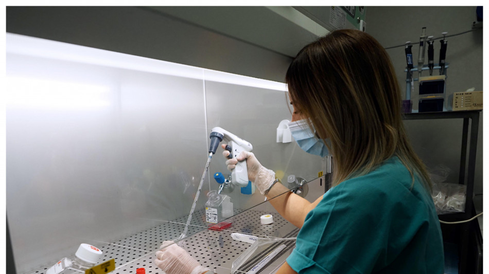 Cellule staminali mascherate per sfuggire al rischio di rigetto