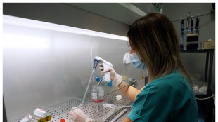 Nuova terapia silenzia il virus dell'epatite B, via ai test sull'uomo