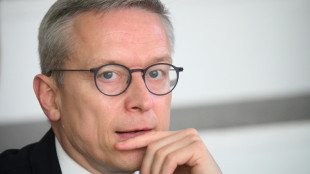 Digitalminister Wildberger warnt vor drohendem Jobverlust durch K&uuml;nstliche Intelligenz