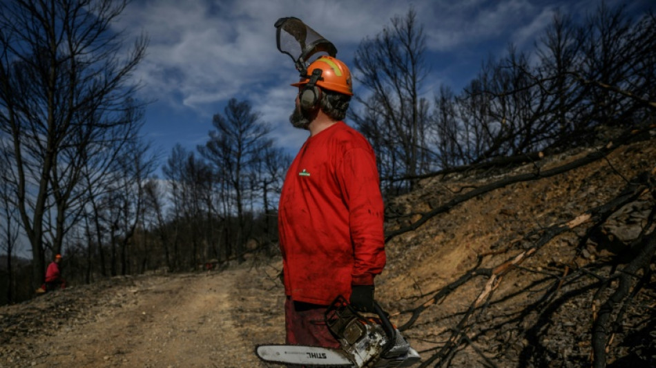 Apr&egrave;s le grand incendie de l'&eacute;t&eacute; dans l'Aude, des milliers de tonnes de bois &agrave; exploiter
