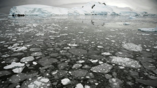 La banquise antarctique atteint son troisième plus bas niveau en un demi-siècle