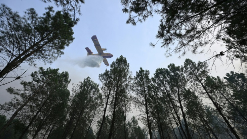 Los incendios forestales no dan tregua en Europa