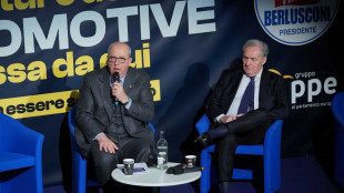 Altavilla, serve collaborazione tra industria cinese ed europea