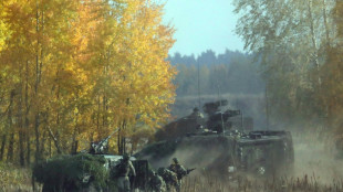 Mangel an Freiwilligen bei Litauen-Brigade: Ausschusschef erw&auml;gt Pflichtl&ouml;sung