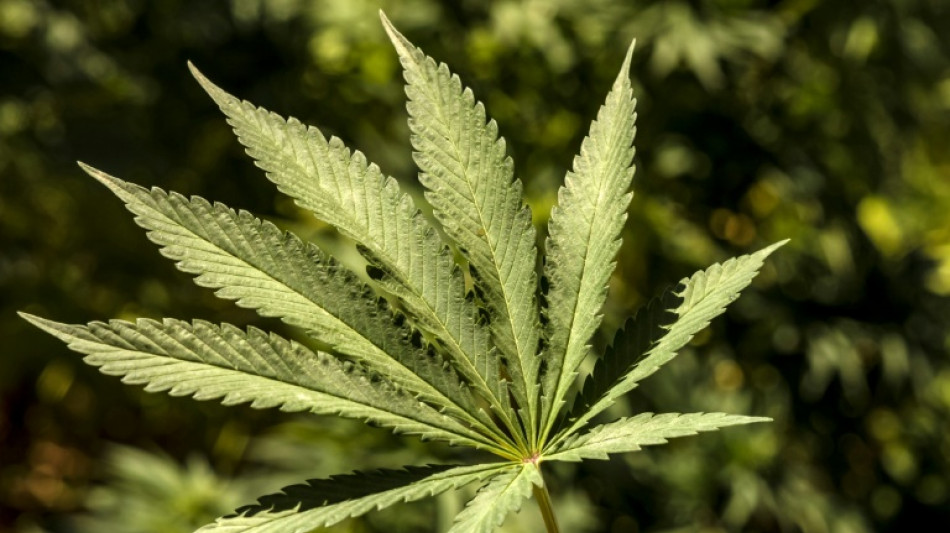Kurzschluss an Cannabisplantage l&ouml;st in M&ouml;nchengladbach Dachstuhlbrand aus