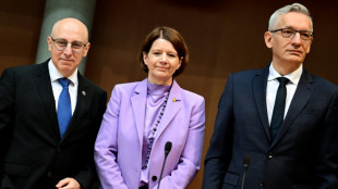 Verfassungsschutz sieht "besorgniserregende Entwicklung" bei Rechtsextremismus