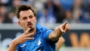 "Wollte unbedingt zur&uuml;ck": FC Augsburg holt Berisha