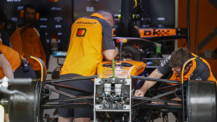 In Brasile a Norris le libere, poi Piastri