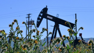 Oil plunges, stocks mostly rise as Trump says Iran war over 'very soon'