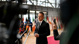 Ungarns Au&szlig;enminister fordert von Moskau Energielieferungen zu "unver&auml;nderten Preisen"