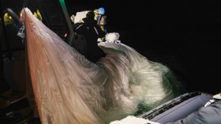 USA melden Abschuss eines weiteres Flugobjekts &uuml;ber See nahe Grenze zu Kanada