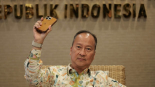 L'Indon&eacute;sie bloque toujours les ventes d'Iphone 16 malgr&eacute; une offre d'Apple d'investir 1 milliard de dollars