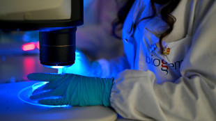 Tumori del sangue, scoperta una molecola contro la resistenza alle terapie