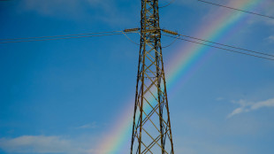 Cresce il prezzo dell'elettricit&agrave;, indice Gme a 126,63 euro