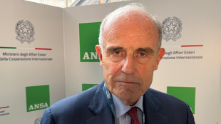 Bruni (Ispi), il punto caldo della diplomazia è il Medio Oriente