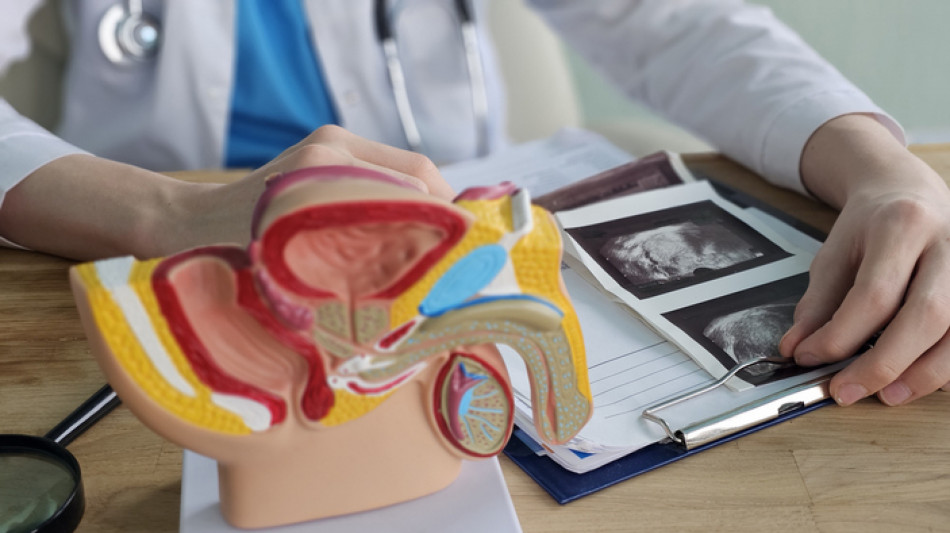 In Italia in 485mila con tumore prostata. Stilata Carta delle domande per orientarli
