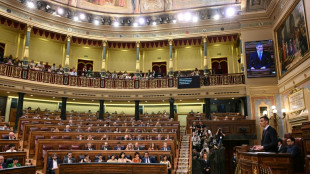 Los diputados españoles aprueban un embargo de las armas a Israel