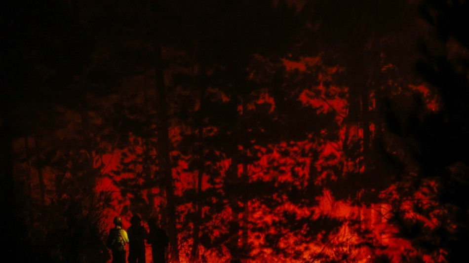 La Fiscal&iacute;a anuncia la captura del principal sospechoso de los mort&iacute;feros incendios forestales en Chile