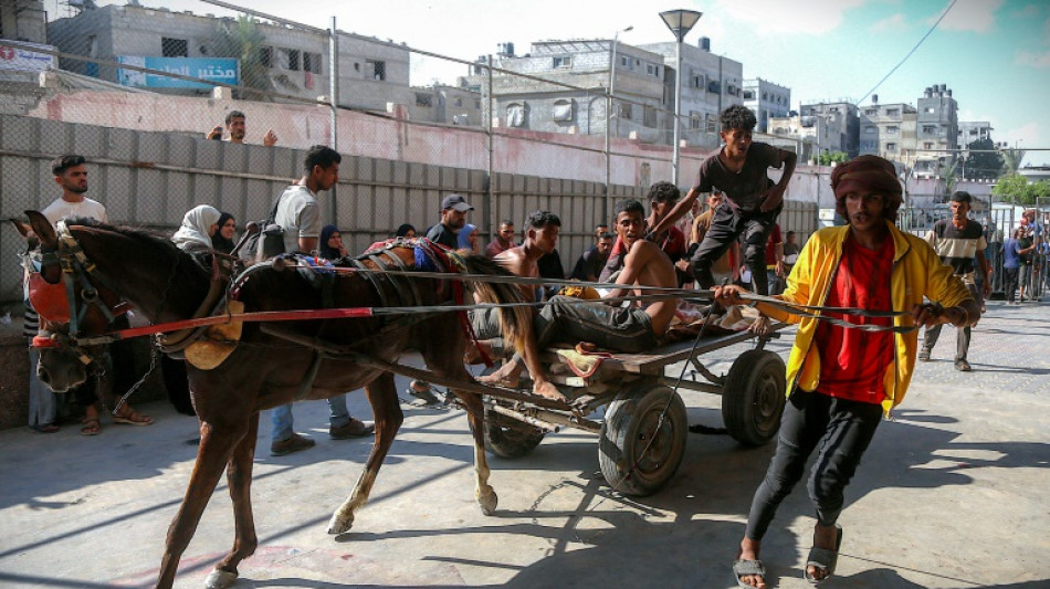 Defensa Civil en Gaza informa de 73 muertos por disparos israelíes contra palestinos que esperaban ayuda