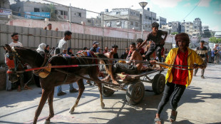 Defensa Civil en Gaza informa de 73 muertos por disparos israelíes contra palestinos que esperaban ayuda