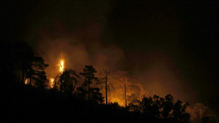 Europa lucha contra los incendios y la lluvia da un respiro en B&eacute;lgica