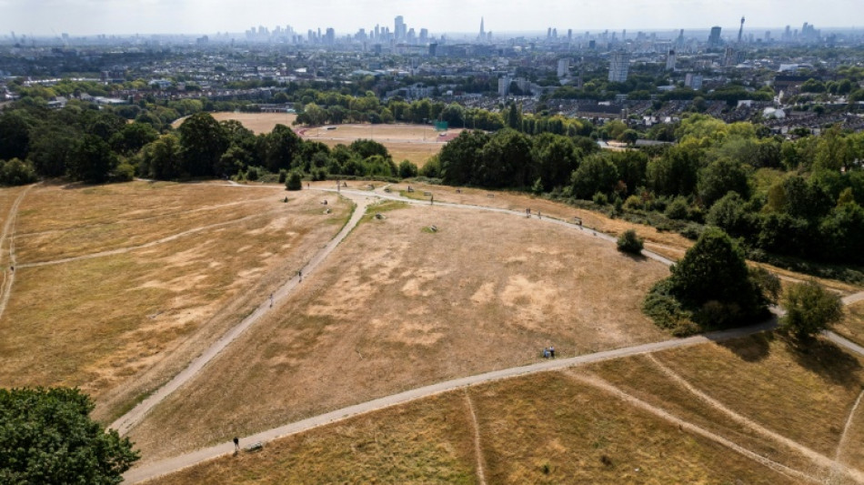 M&aacute;s del 80% de Inglaterra en estado de sequ&iacute;a