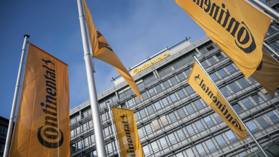 Stiebel Eltron will Continental-Werk in Gifhorn &uuml;bernehmen 