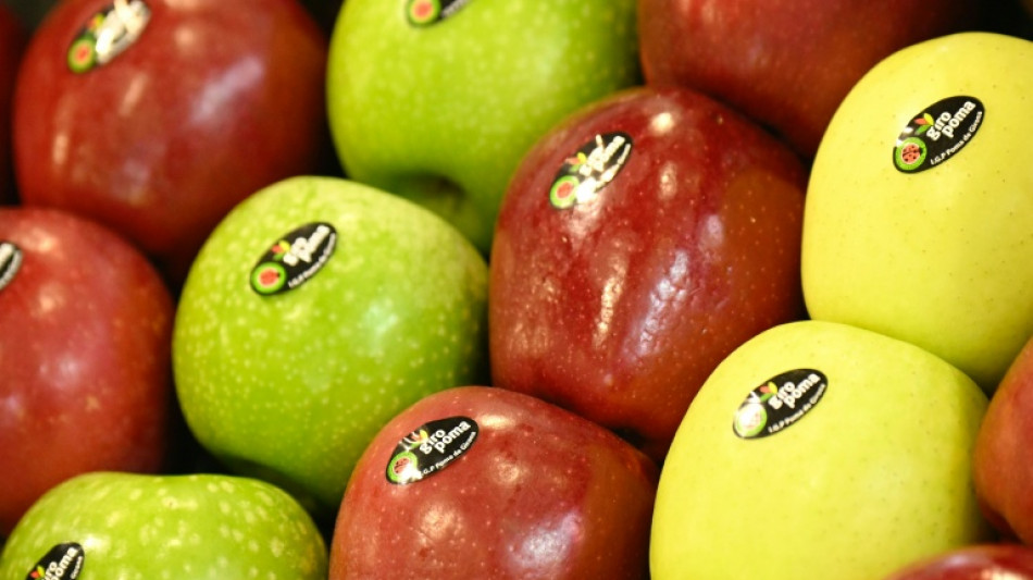 Sehr gute Apfel- und Pflaumenernte: Menge deutlich &uuml;ber dem Durchschnitt