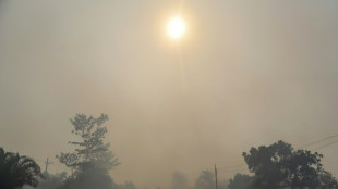Incendies et canicules menacent la qualit&eacute; de l'air et la sant&eacute;, selon l'ONU
