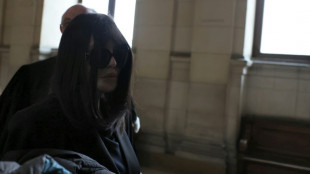Isabelle Adjani soup&ccedil;onn&eacute;e de fraude fiscale: de 18 &agrave; 24 mois de prison avec sursis requis en appel 