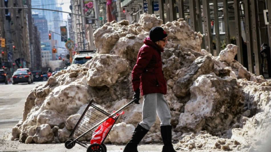 La tormenta invernal en EEUU perturba el transporte y hace caer iguanas de los &aacute;rboles