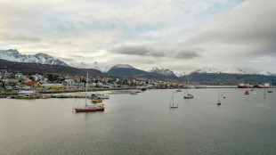 Cient&iacute;ficos argentinos recogen roedores en Ushuaia para descartar el hantavirus