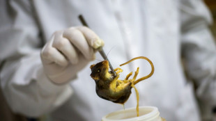 Canadian cruise passenger confirmed positive for hantavirus