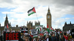 Thousands join pro-Palestinian marches in several European cities