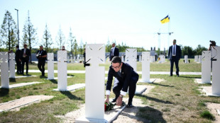 Ukraine-Partner beraten am 35. Unabh&auml;ngigkeitstag des Landes &uuml;ber weitere Unterst&uuml;tzung