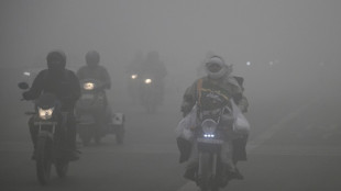 New Delhi lance ses mesures annuelles de lutte contre la pollution atmosph&eacute;rique