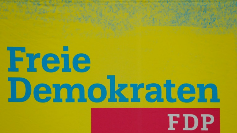 FDP in Rheinland-Pfalz w&auml;hlt Landeswirtschaftsministerin Schmitt zu Parteichefin