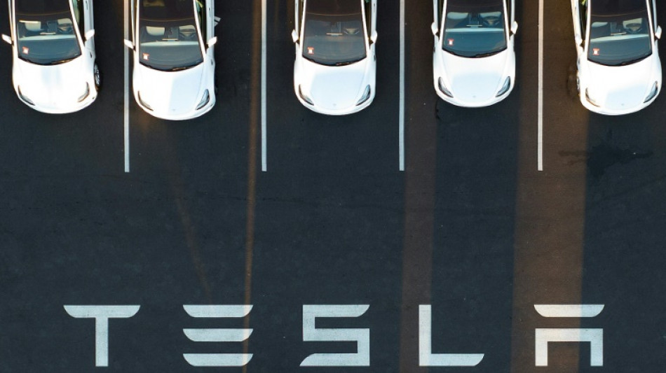 Medien: Umweltrechtliche Genehmigung f&uuml;r Tesla-Werk in Brandenburg steht kurz bevor