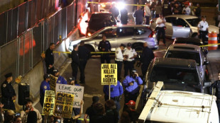 Sch&uuml;sse auf Auto mit Kind an Bord: Mann in New York bei ICE-Einsatz verletzt