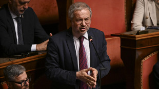 Borghi (Lega), 'serve una manovra coraggiosa, Meloni se ne freghi del Patto Ue'