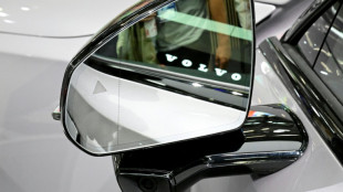 Volvo Cars pauses battery factory after fruitless partner search