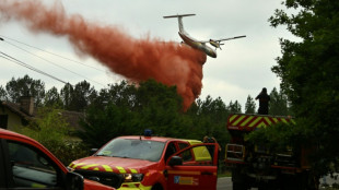 Landes : le feu ne progresse plus, mais "n'est pas en voie" d'&ecirc;tre "fix&eacute;"