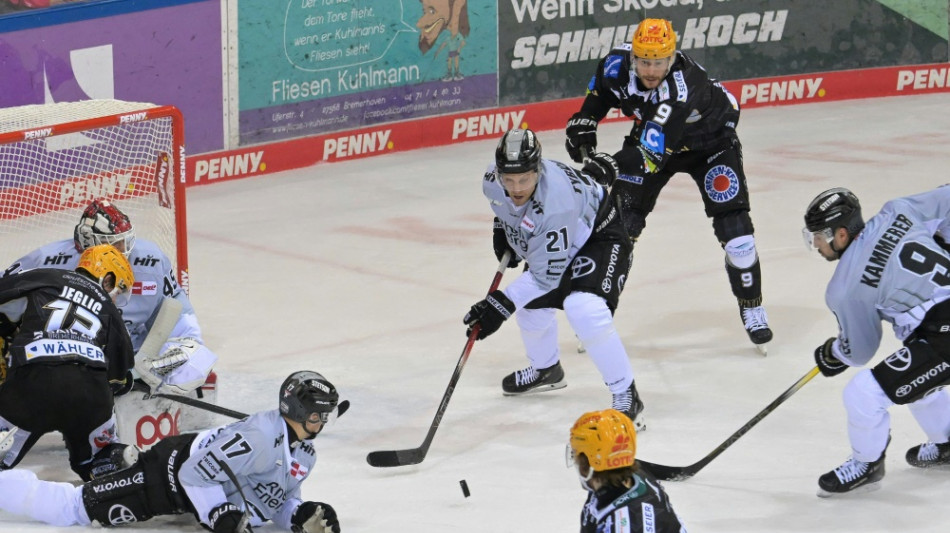 DEL: Pinguins lassen K&ouml;ln zittern - Ingolstadt wieder auf Kurs