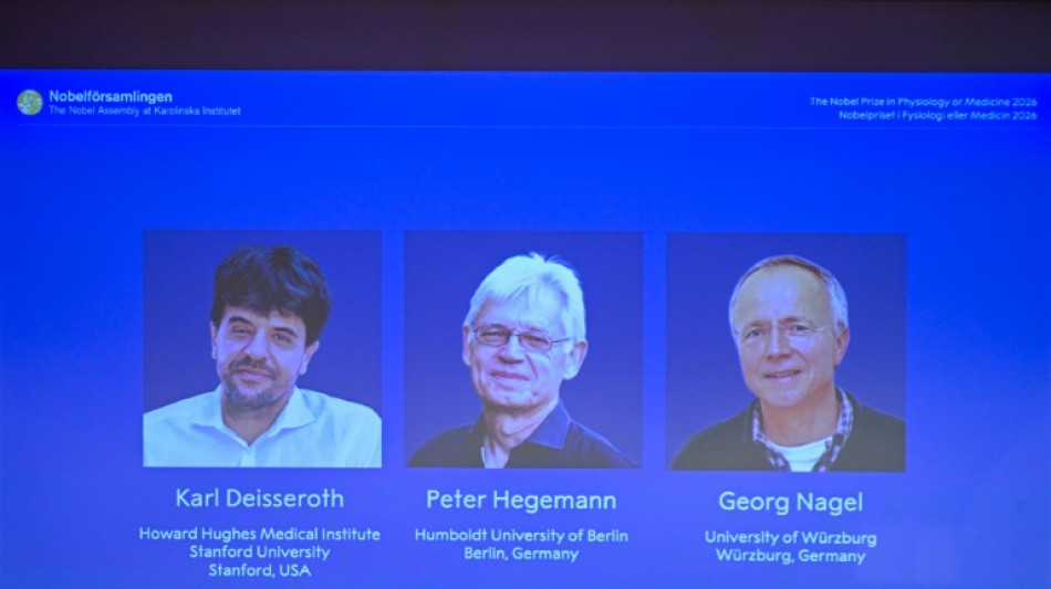 Nobel de Medicina de 2026 premia os avan&ccedil;os da optogen&eacute;tica