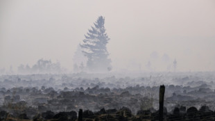 Waldbrand im Hohen Venn: Deutsche Feuerwehrleute ziehen ab
