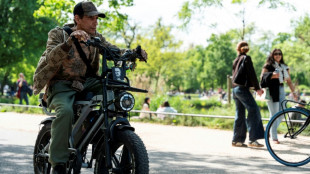 'Extremely dangerous': Cycle-mad Amsterdam slams brakes on 'fatbikes'