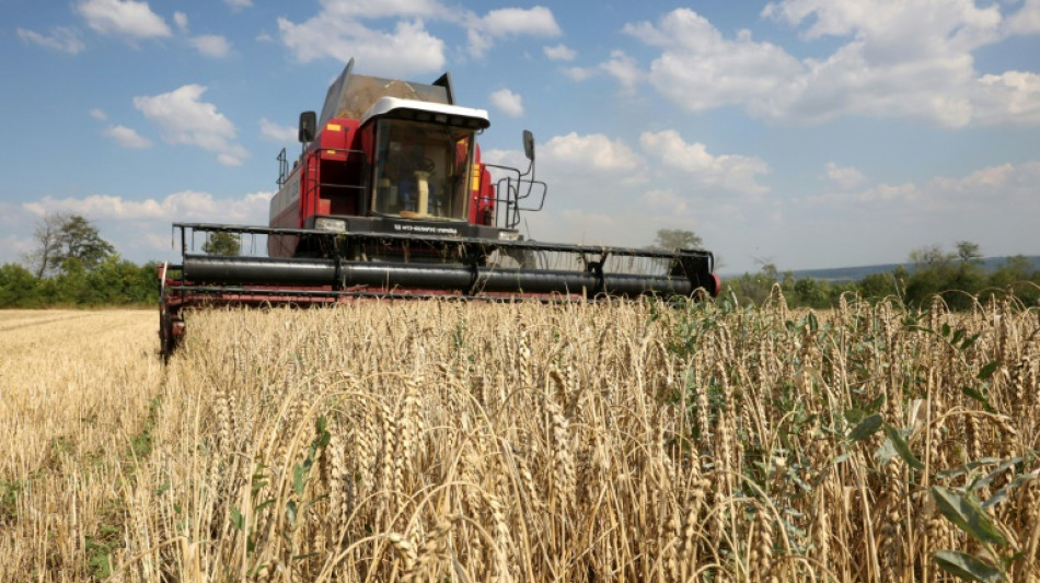 Getreide-Beschr&auml;nkungen: Ukraine klagt vor WTO gegen Polen, Slowakei und Ungarn