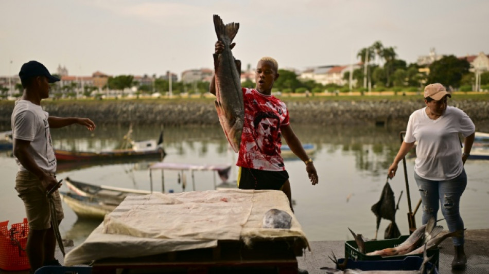 Empty nets in Latin America as fish flee El Nino