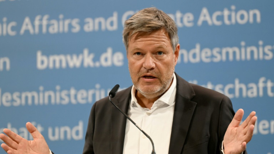Habeck l&auml;dt Branche zu Automobilgipfel