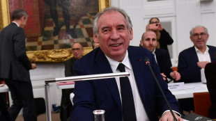 Entre la crise &agrave; Mayotte et le conseil municipal &agrave; Pau, Bayrou consulte et compose son gouvernement